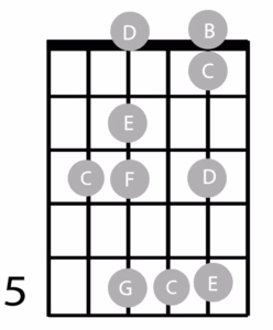 find chord shapes in the key of C