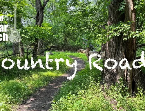 How to play  “Country Roads” fingerstyle on guitar