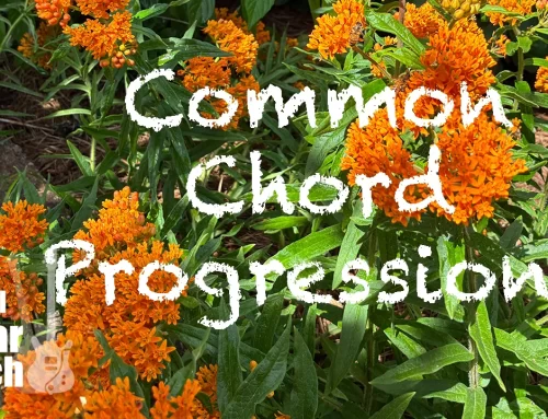 Common Chord Progressions