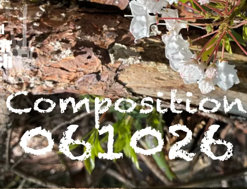 Composition 061026
