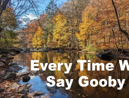Every Time We Say Goodby