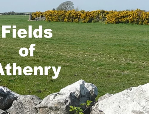 Fields of Athenry