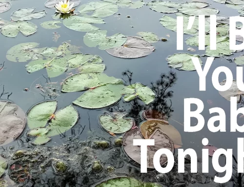I’ll Be Your Baby