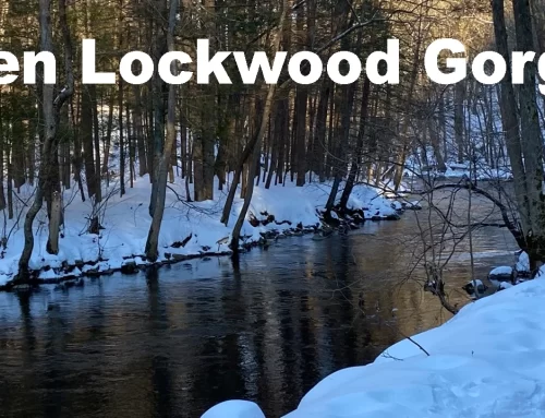 Ken lockwood Gorge