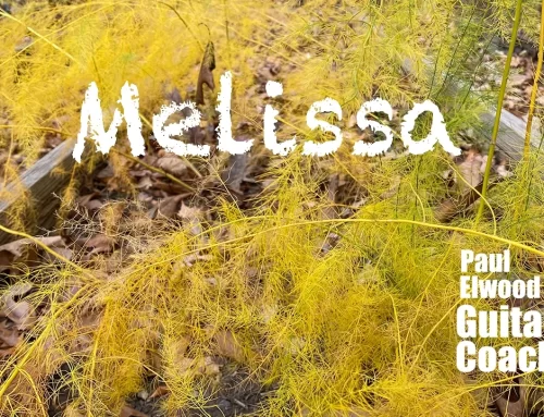 Melissa