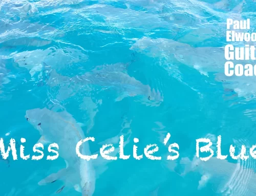 Miss Celie’s Blues