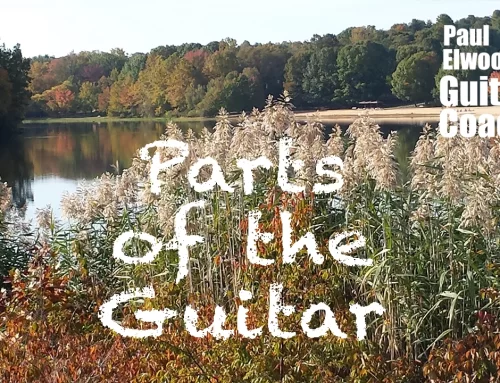 parts of the guitar